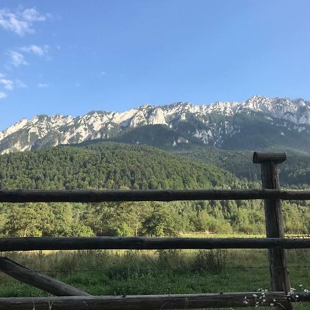 Pensiunea Kyfana Hotel Zărneşti Exterior foto