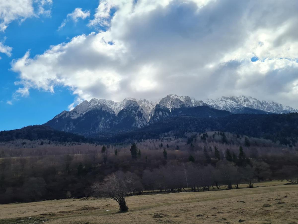Pensiunea Kyfana Zărneşti Exterior foto