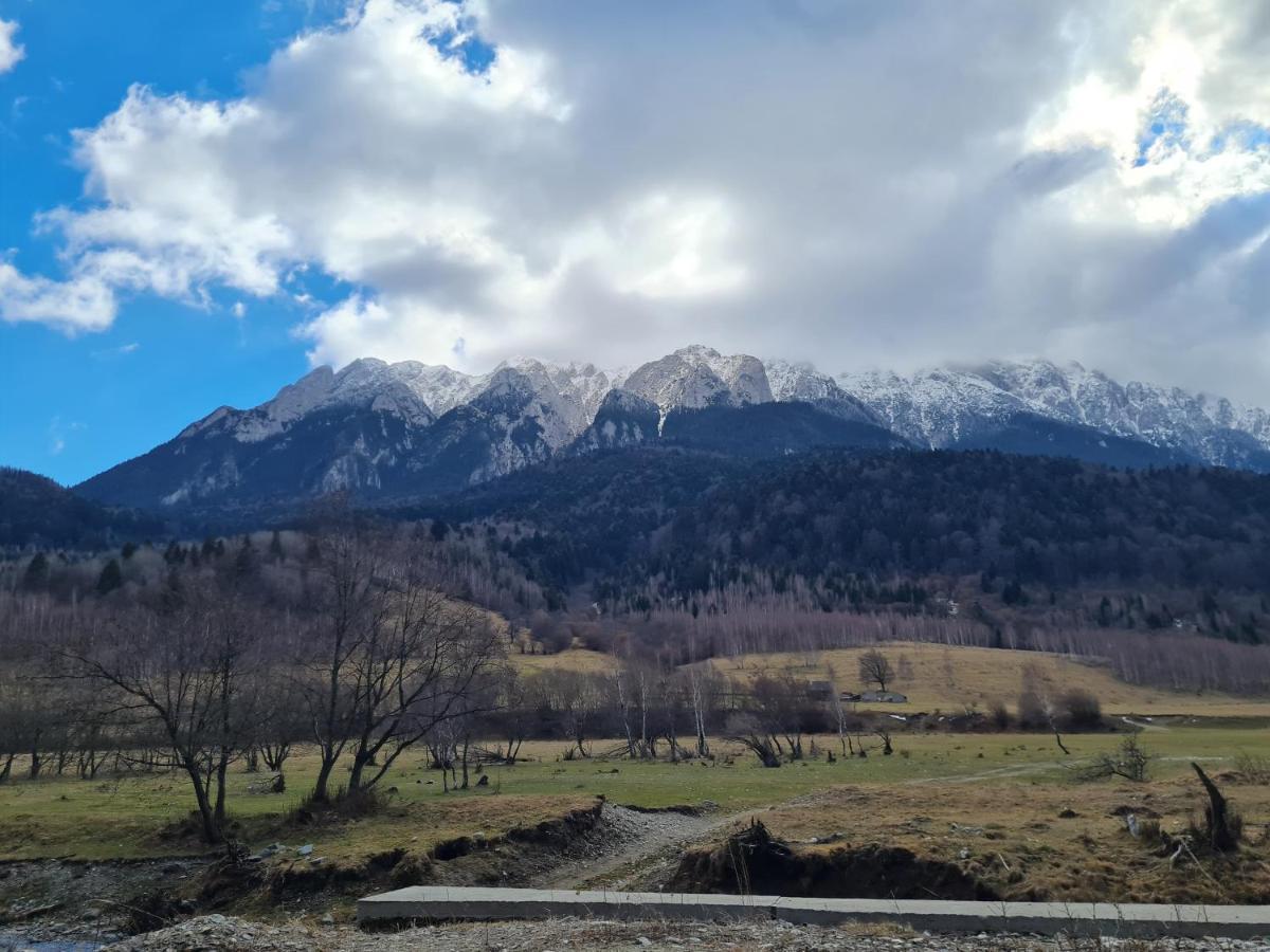 Pensiunea Kyfana Zărneşti Exterior foto
