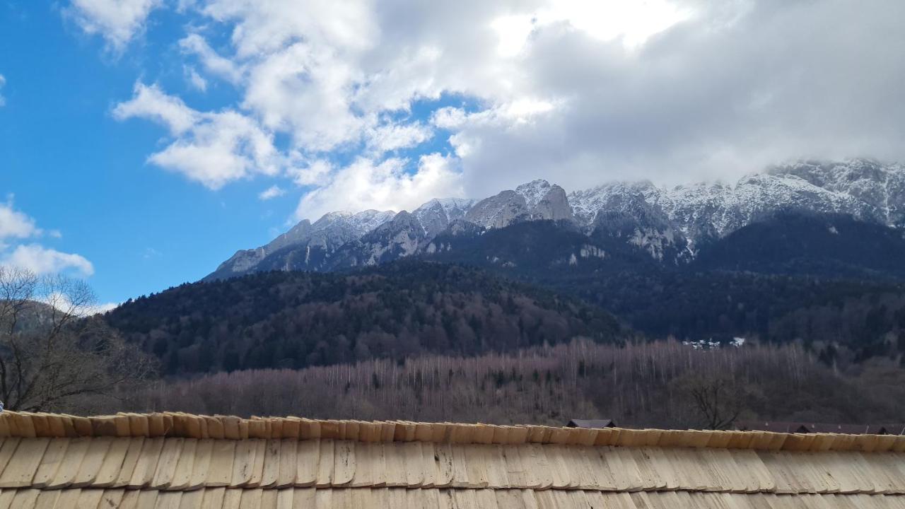 Pensiunea Kyfana Hotel Zărneşti Exterior foto