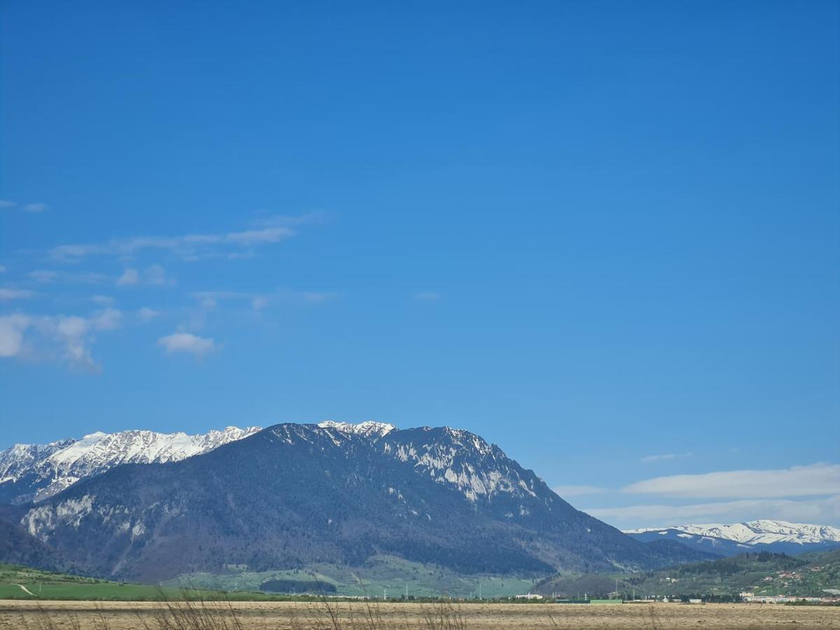 Pensiunea Kyfana Zărneşti Exterior foto