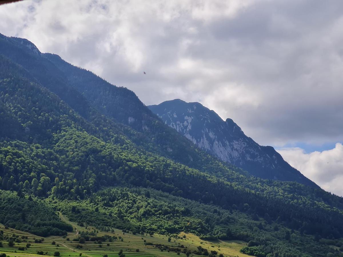 Pensiunea Kyfana Zărneşti Exterior foto