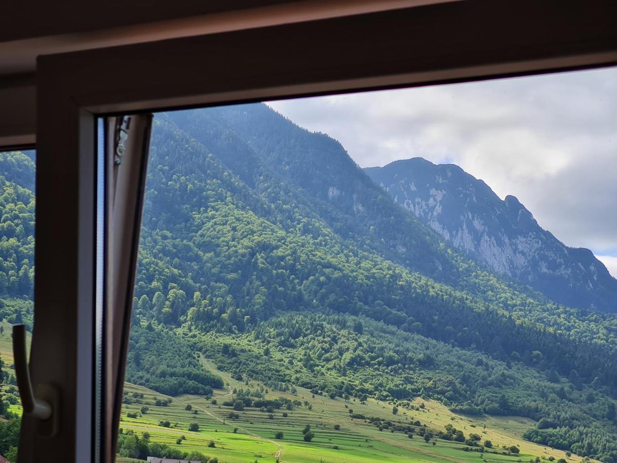 Pensiunea Kyfana Zărneşti Exterior foto