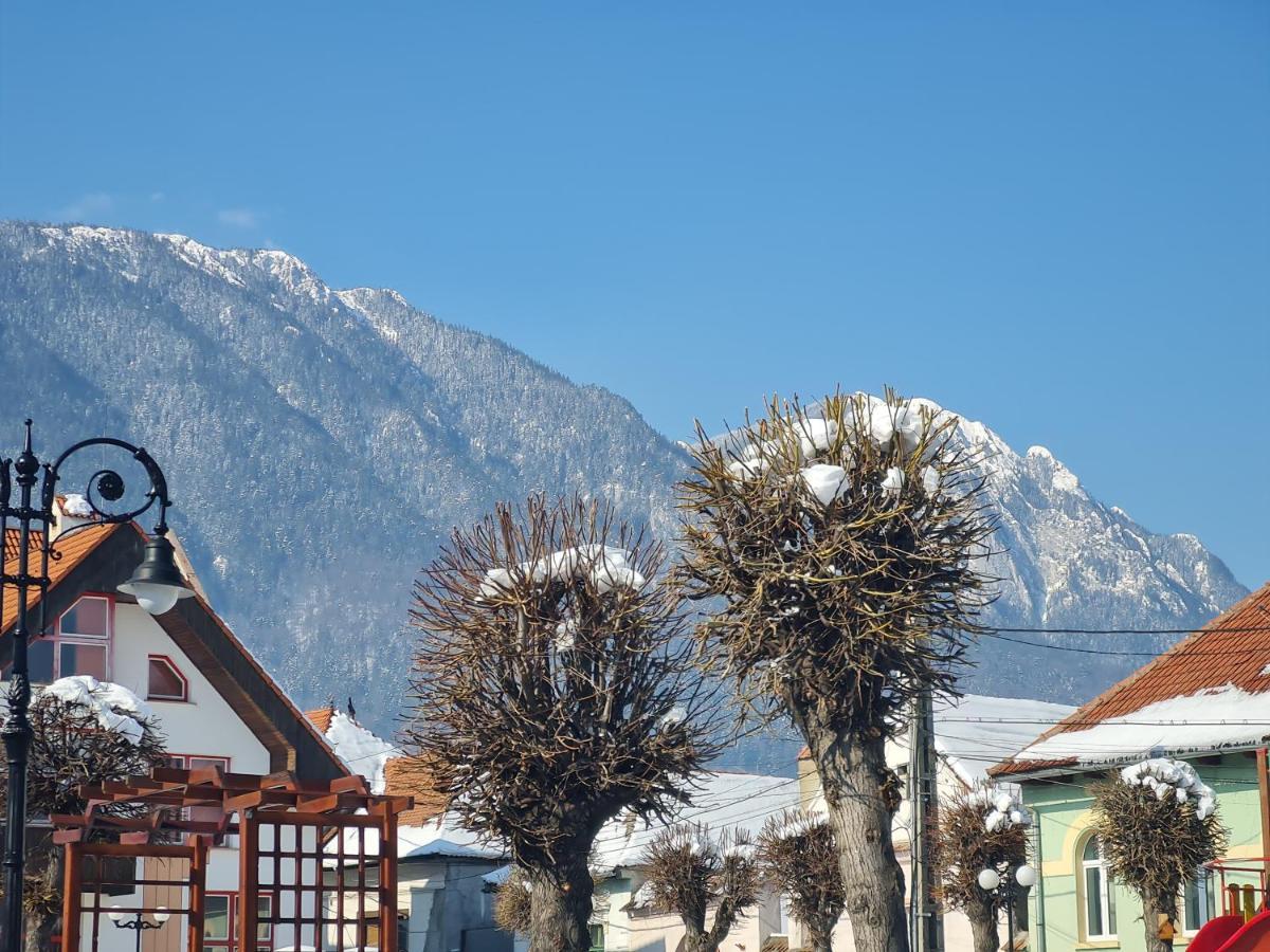 Pensiunea Kyfana Zărneşti Exterior foto