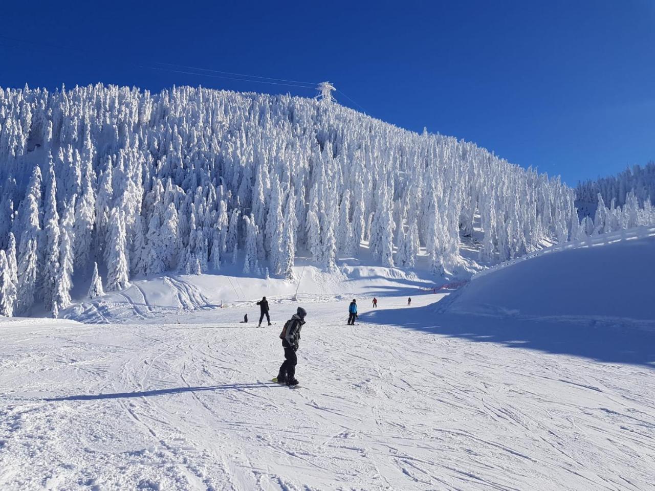 Pensiunea Kyfana Zărneşti Exterior foto